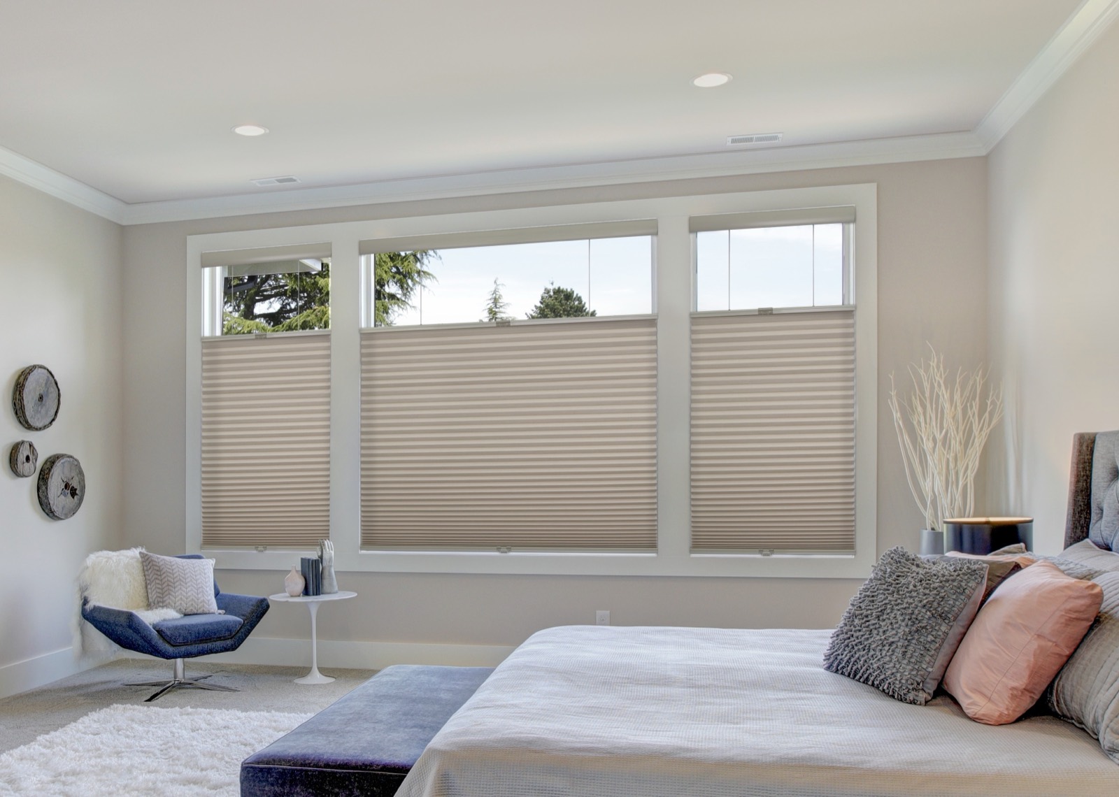 Softlight cellular honeycomb shades filtering light in a Delaware living room